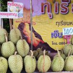 “ศรีสะเกษ” เดินหน้าจัดเทศกาลทุเรียนภูเขาไฟ ท่ามกลางสถานการณ์ตึงเครียด ยันพื้นที่จัดงานปลอดภัยห่างไกลชายแดนกว่า 100 กม.