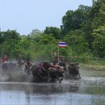 ชลบุรี โครงการจัดงานอนุรักษ์ประเพณีท้องถิ่นวิ่งควายไทย ประจำปีงบประมาณ พ.ศ. 2568 ครั้งที่ 2 วิ่งควายน้ำ และมีการแข่งขี่ม้าส่งเมืองสร้างความสนุกสนานเป็นอย่างมาก